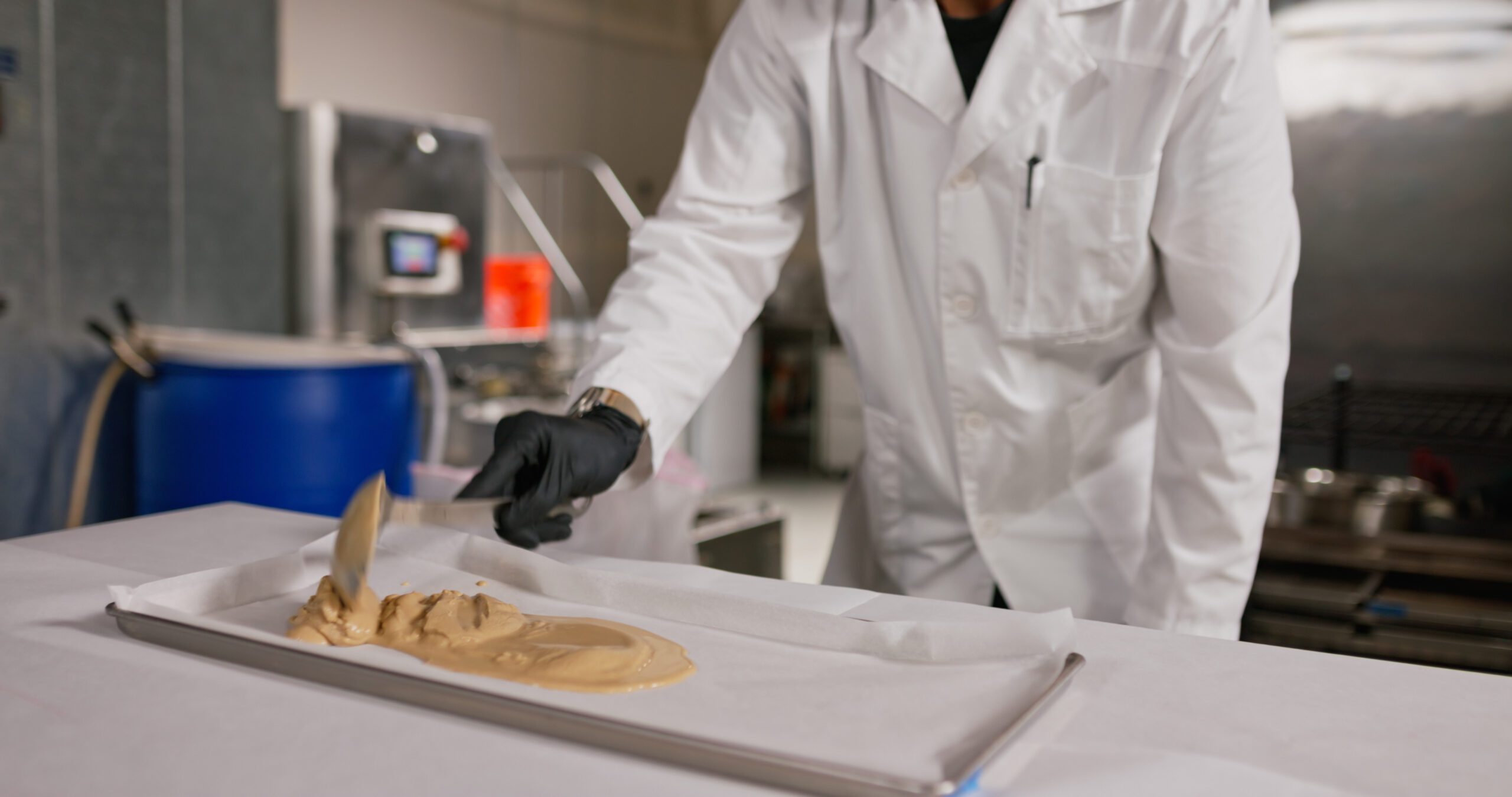 Technician loading wet bubble hash onto a tray for freeze drying in a solventless lab