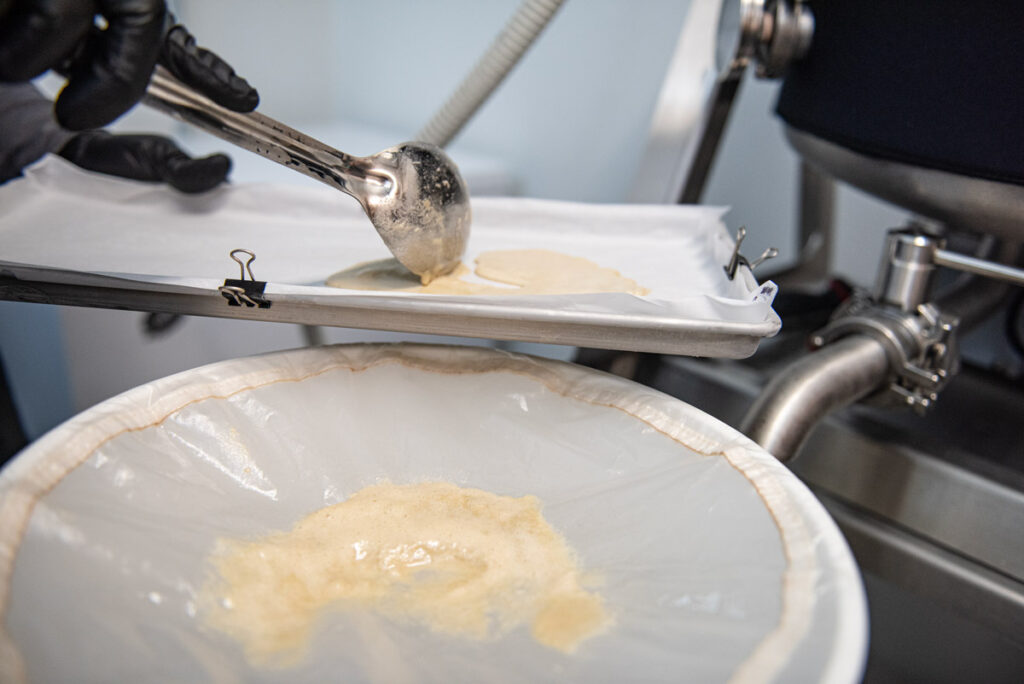 Ice water hash washing process showing a filter bag filled with freshly collected trichomes during solventless extraction.